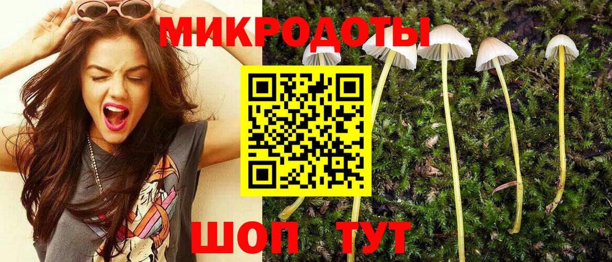 Псилоцибиновые грибы GOLDEN TEACHER  Вход с VPN  Галлюциногенные грибы MAGIC MUSHROOMS  Щёлково 